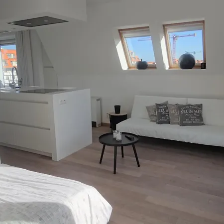 Attic Apartment In Nieuwpoort By Sandy Beaches, Cleaning Included Lägenhet Nieuwpoort